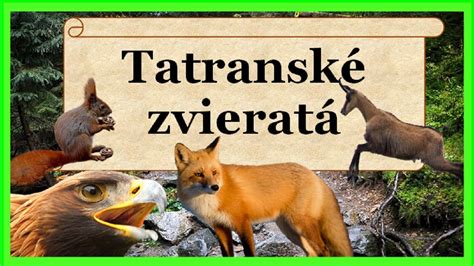 Obrázok: Ulovená zver pred spracovaním