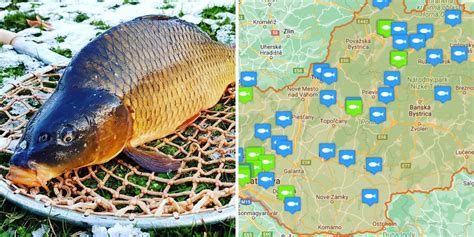 Infografika: Ako vybrať kvalitnú mrazenú rybu (čistá hmotnosť, hrúbka glazúry)