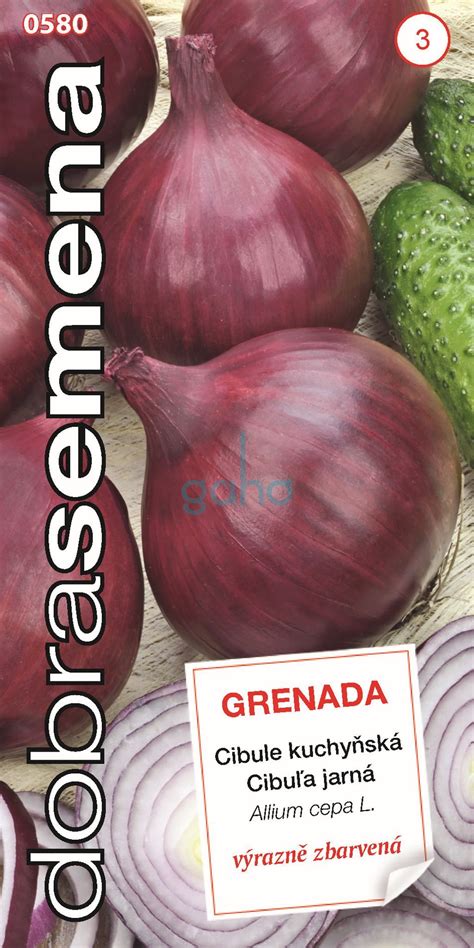 Červená jarná cibuľa Grenada