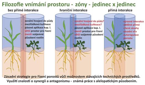 schéma šírenia huby Fusarium v rastline