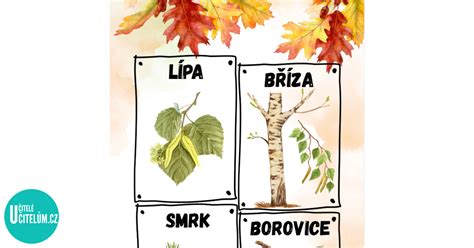 Ilustrácia silného vetra prehýbajúceho stromy v lese