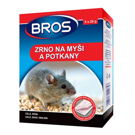 Preventívne opatrenia proti potkanom