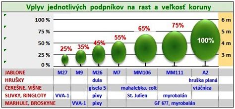 Porovnanie kalórií v rôznych druhoch ovocia pre diétu