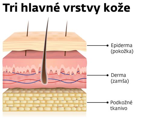 Prierez pozinkovanou rúrou a jej vrstvy