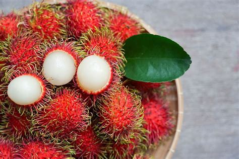 Rambutan a iné chlpaté ovocie