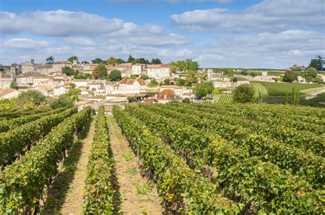 Vinice v regióne Bordeaux