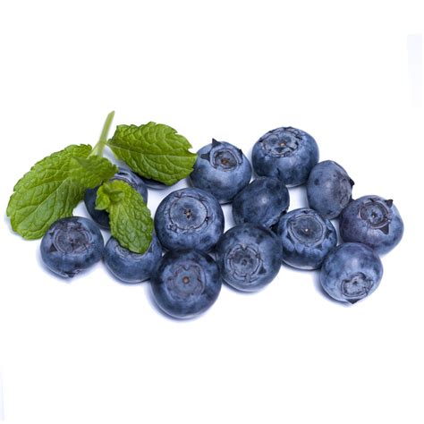 Čučoriedky pripravené na koláč