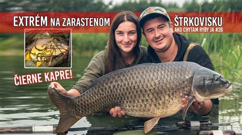 Najlepšie dipy pre zimný lov kapra