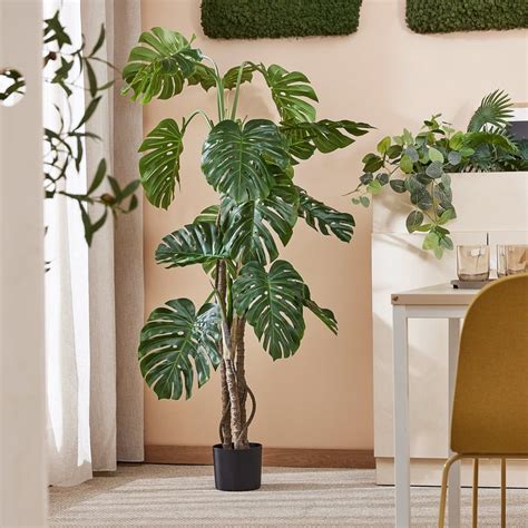 Umelá rastlina Monstera adansonii v interiéri