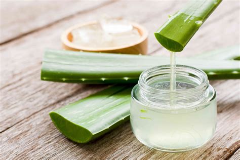 List aloe vera s odrezanou časťou ukazujúcou gél