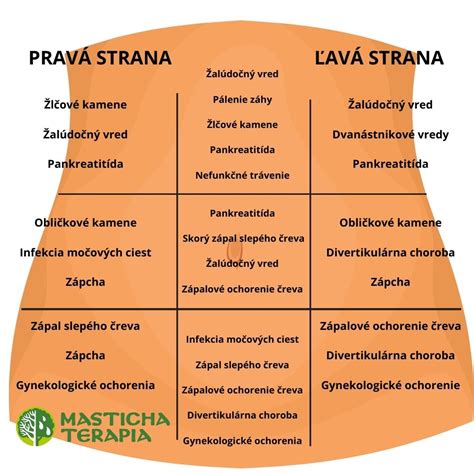 Mapa lokalizácie bolesti brucha