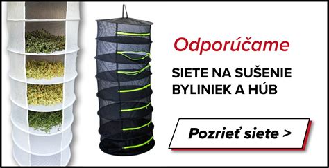 Sušenie kvetov ďateliny na sieti