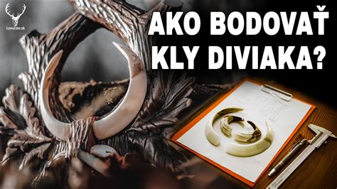 Postup odberu mandlí diviaka