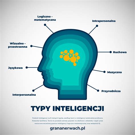 Infografika: Typy oznamov z obecného úradu