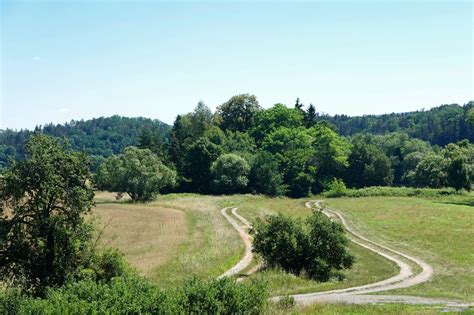 Slovenská krajina a lesy