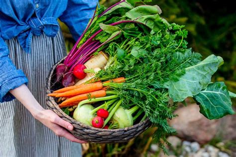 Rôzne druhy zeleniny a ovocia vhodné do šalátov