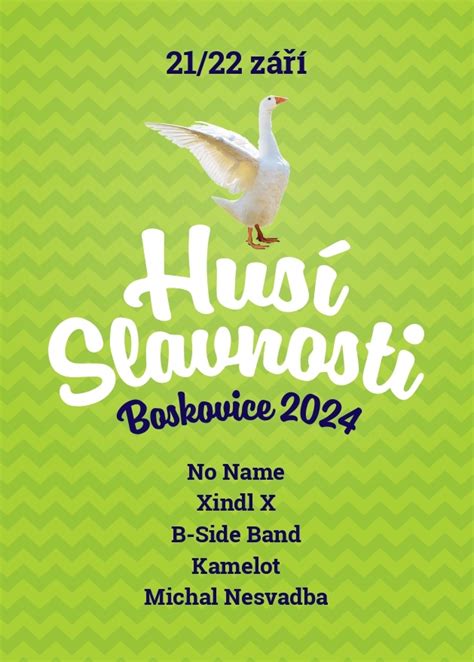 Porovnanie husí