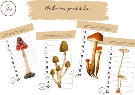 Ilustrácia kľúča na určovanie húb