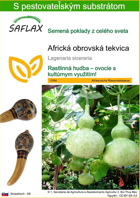 Vrecká so substrátom hlivy po naočkovaní