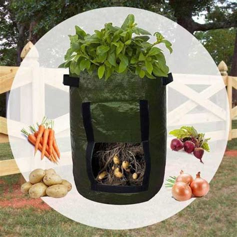 Pestovanie zemiakov vo vreci