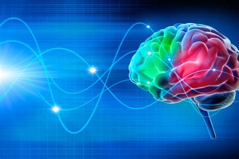 Vizualizácia mozgových vĺn pri neuromarketingovom výskume