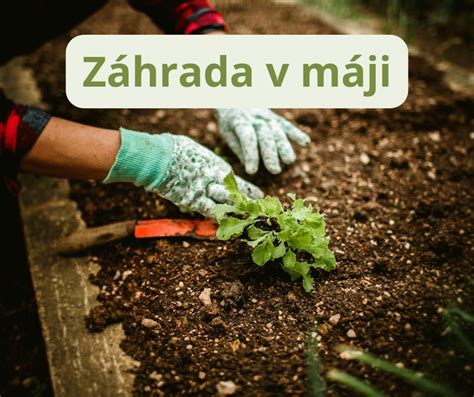 Záhradné práce v máji