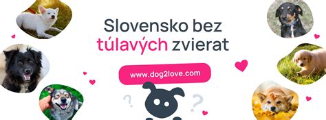 Infografika: Kľúčové živiny vo varených zemiakoch pre psov