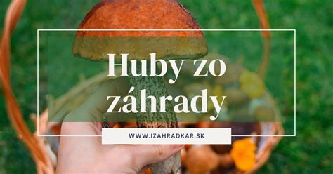 Rôzne druhy jedlých húb