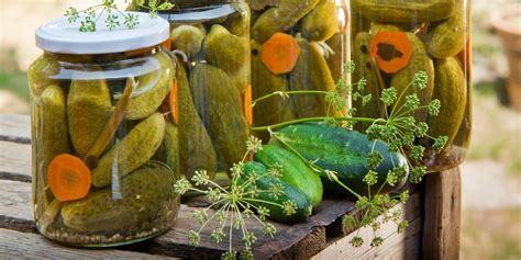 Ilustrácia plnenia pohára uhorkami a koreninami