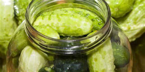 Grafické znázornenie procesu fermentácie uhoriek