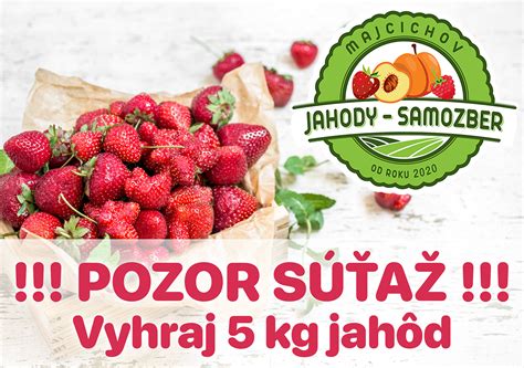 Kôš plný čerstvo nazbieraných bedlí