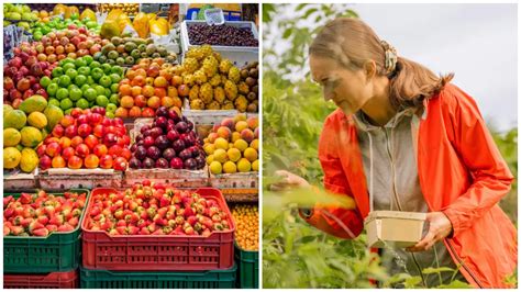 Rebríček najzdravšieho ovocia podľa CDC