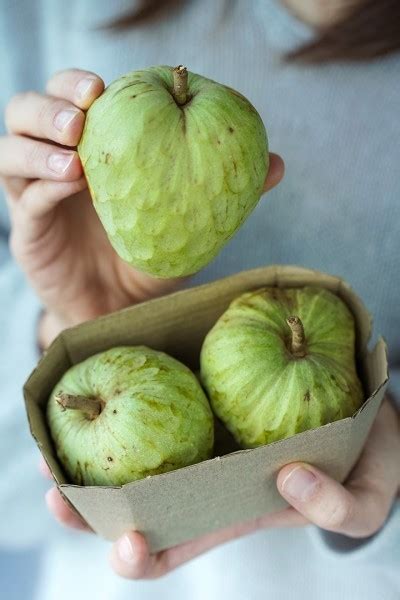 Čerimoja - superovocie podľa BBC