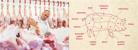 Ilustrácia procesu rozmrazovania mäsa v chladničke