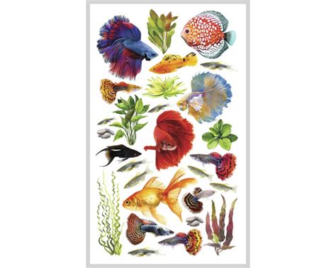 Ilustrácia rôznych druhov akvarijných rýb