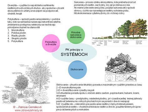 Princípy udržateľného obalového dizajnu