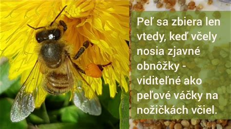 Tabuľka nutričných hodnôt včelieho peľu