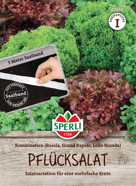 Mix rôznych cviklových šalátov