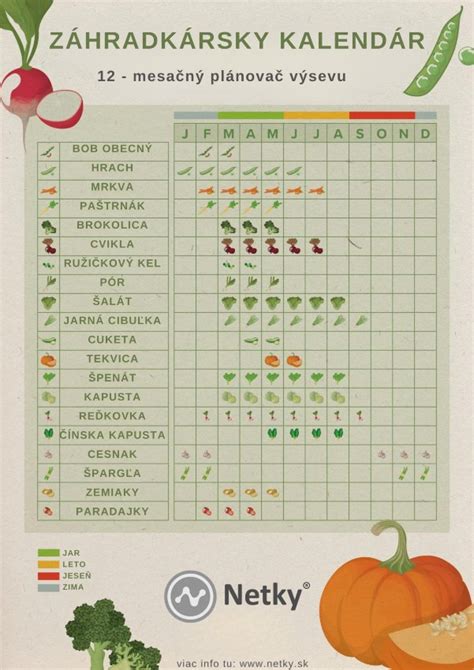 Infografika: Ktorú zeleninu kedy zaviesť do jedálnička dieťaťa