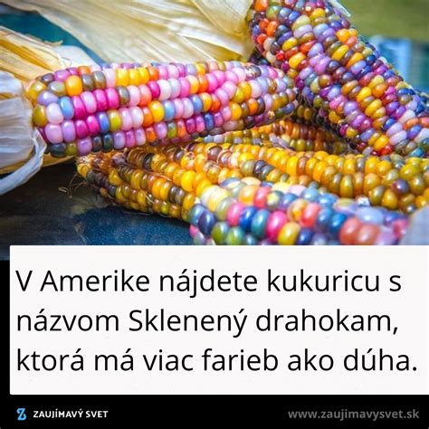 Zrnká pukancovej kukurice rôznych farieb