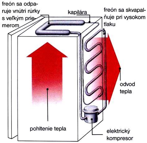 Schéma znázorňujúca vnútornú teplotu ryby