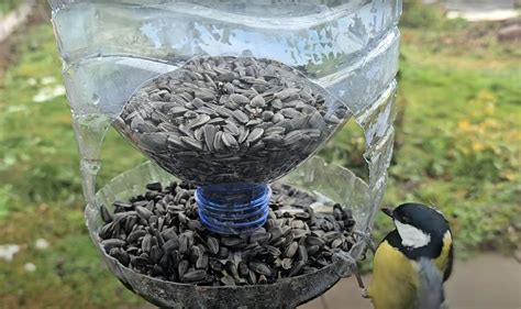 DIY kŕmidlá pre vtáky z recyklovaných materiálov