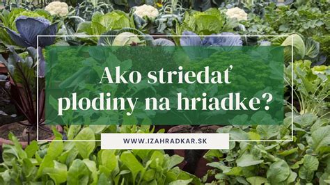 Plán záhradnej hriadky