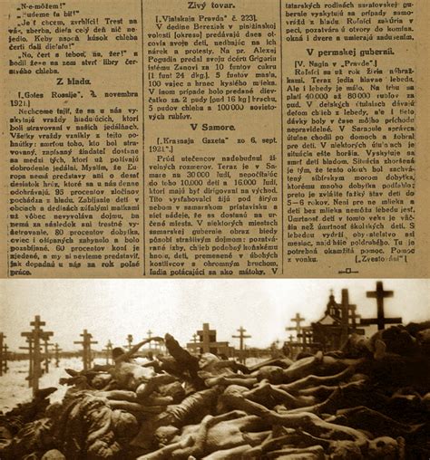 Ilustračná fotka príloh k bravčovým závitkom