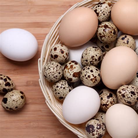 Ilustrácia rôznych druhov vajec (slepačie, prepeličie, kačacie, husacie)