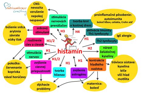 Čo je histamín a ako funguje v tele