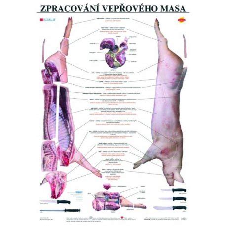 Schéma porciovania a prípravy mäsa