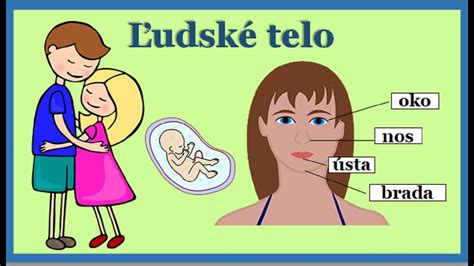 Ilustrácia ľudského hrdla a hlasiviek