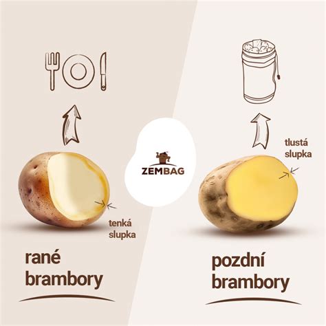 Obrázok Zembagu s informáciou o jeho funkčnosti
