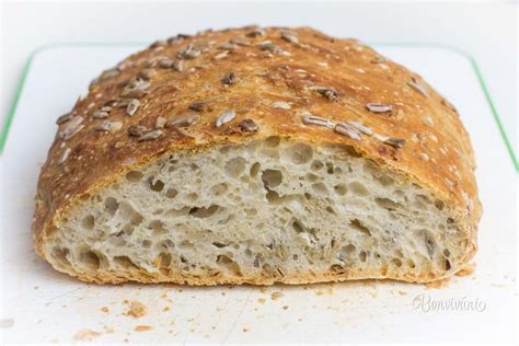 príprava husi na pečenie